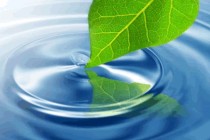 Mindfulness - usredotočena svjesnost