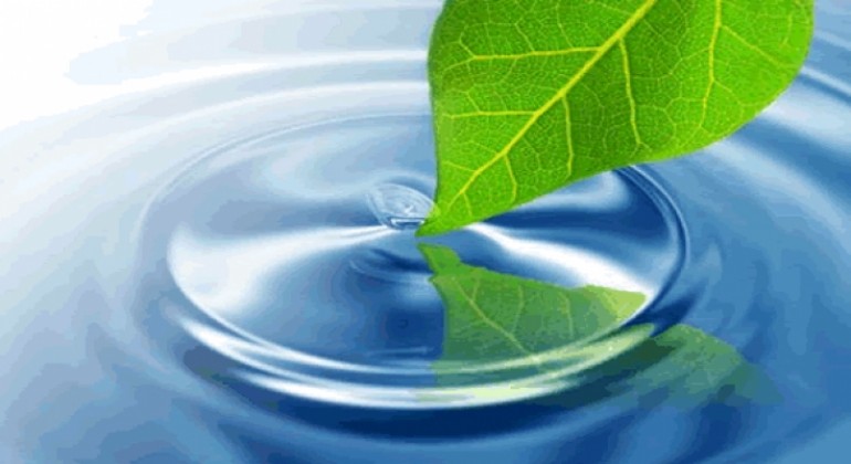 Mindfulness - usredotočena svjesnost