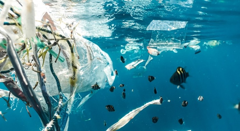 Antarktički mikrobi koji jedu gorivo mogli bi pomoći u čišćenju plastike