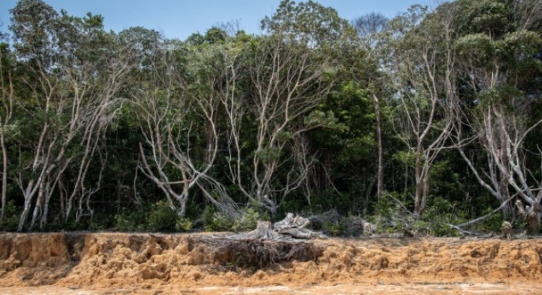 Klimatske promjene glavni uzročnik rekordne suše u Amazoniji - istraživanje