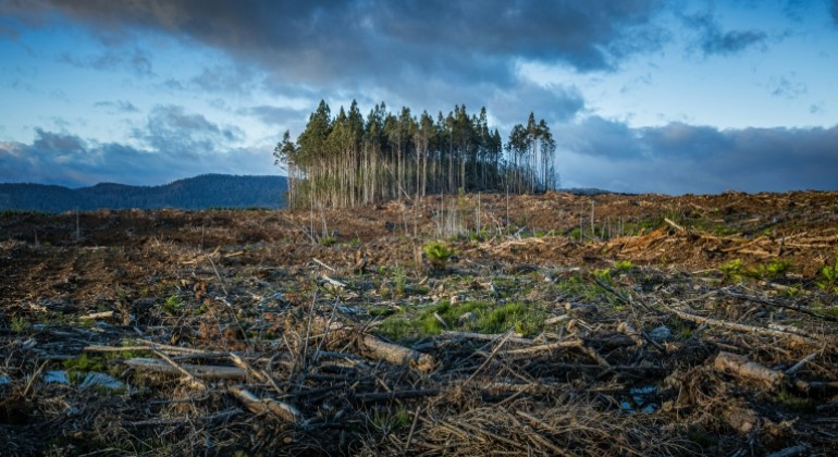 Klimatske promjene usporavaju toplinske valove, produžujući muke