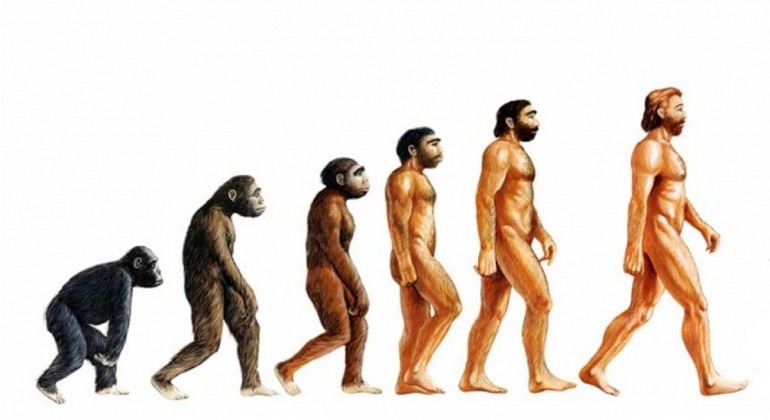 Evolucija