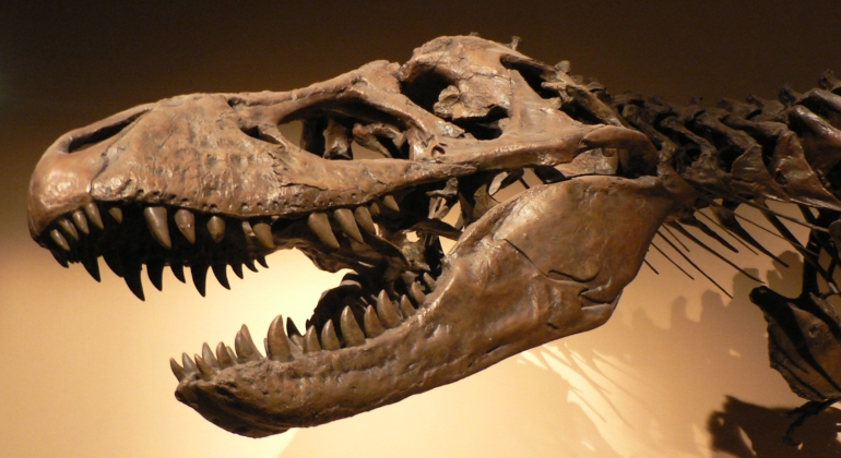Paleontologija