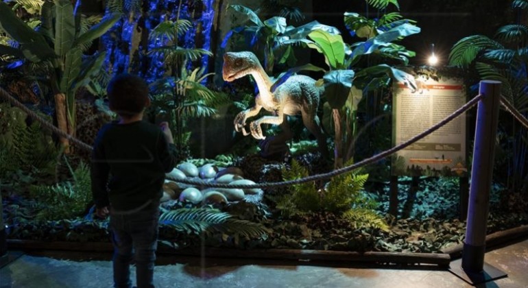 Znanstvenici su objavili da su otkrili savršeno očuvani embrij dinosaura star najmanje 66 milijuna godina koji se sklupčan pripremao izleći iz jajeta baš poput pilića.