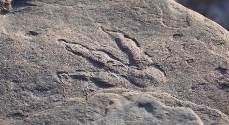 Tragovi ranog dinosaura pronađeni na plaži u Walesu