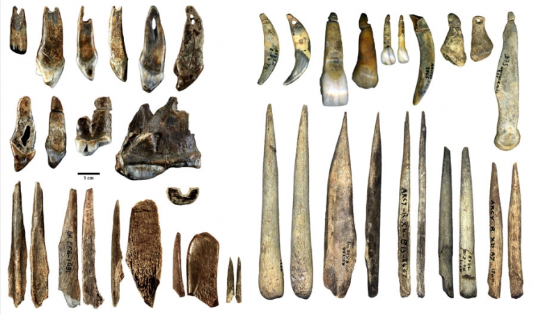 Artefakti s lijeve strane su nakit i koštano oruđe iz pećine Bacho Kiro u Bugarskoj, koje je stvorio Homo sapiens (moderni čovjek) prije oko 45.000 godina. Artefakti s desne strane su nešto noviji nakit i alati od kosti koje su stvorili neandertalci i pronađeni u Grotte du Renne u Francuskoj. Izvoe: Rosen Spasov i Geoff Smith, MPI-EVA Leipzig/CC-BY-SA 2.0