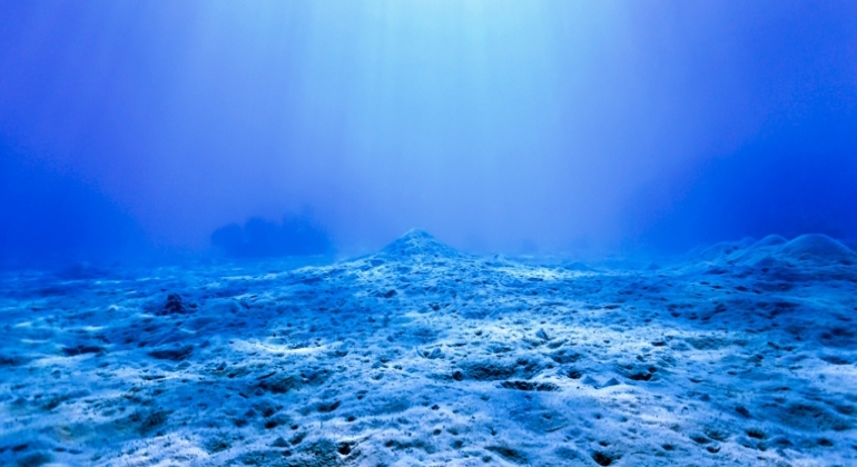 Misterij čudnih rupa na dnu oceana konačno riješen