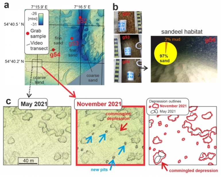 Jame na morskom dnu u staništu pješčane jegulje između svibnja i studenog 2021. (Schneider von Deimling et al., Commun. Earth Environ., 2023.)