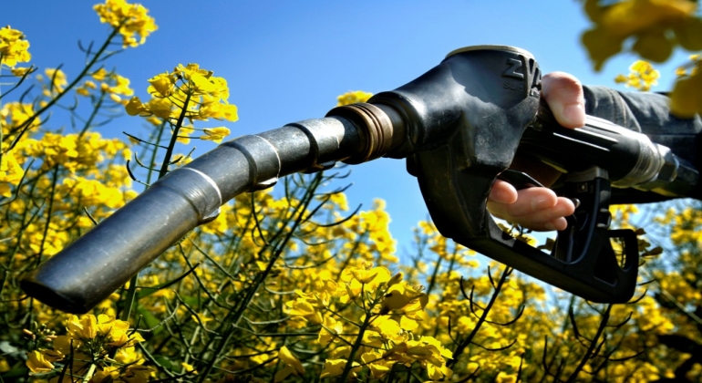 Energija biomase