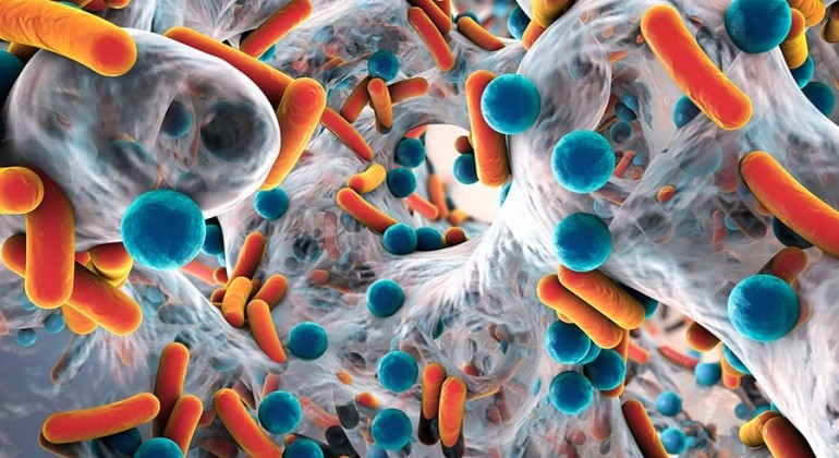 Umjetna inteligencija identificira potencijalne nove antibiotike