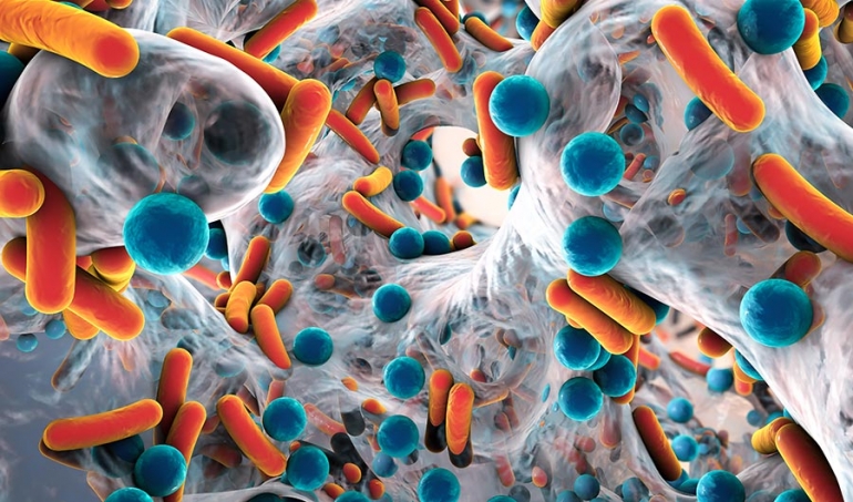 Umjetnički pogled na biofilm bakterija otpornih na antibiotike. Izvor: Kateryna Kon/Shutterstock
